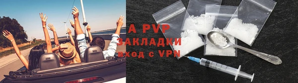 индика Белокуриха