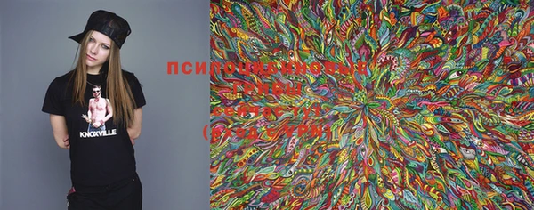mdpv Протвино