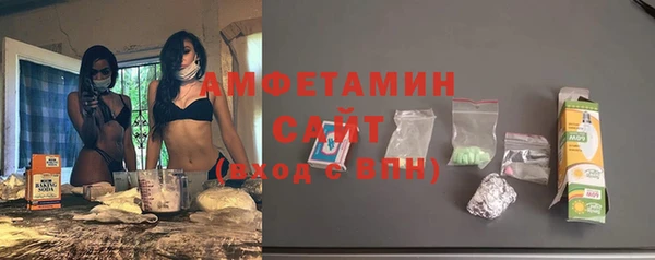 индика Белокуриха