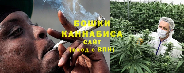 индика Белокуриха