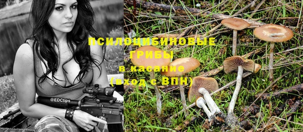 индика Белокуриха