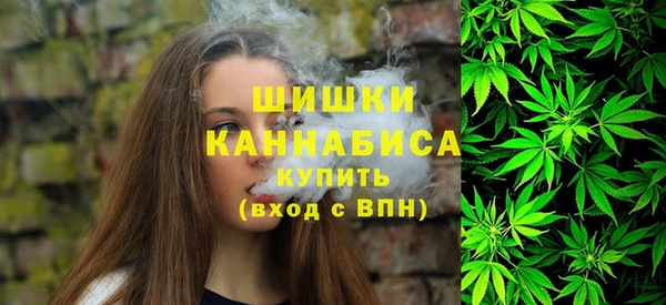 индика Белокуриха