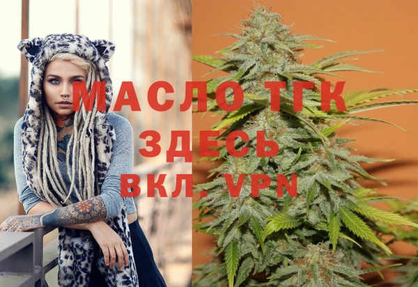 индика Белокуриха
